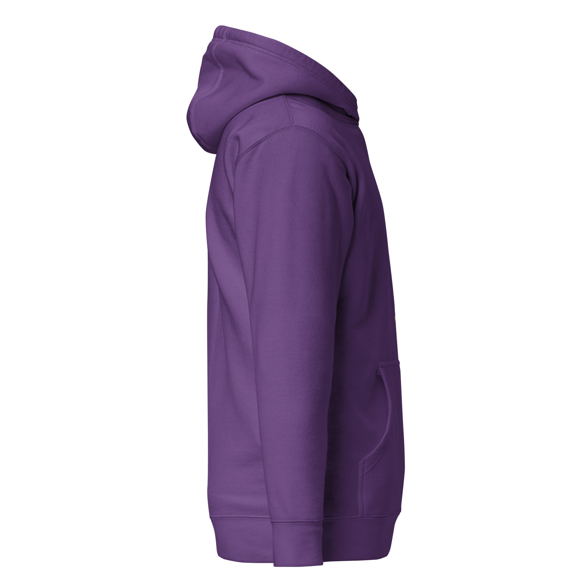 Sun Seekers Anonymous | Hoodie | wheninida